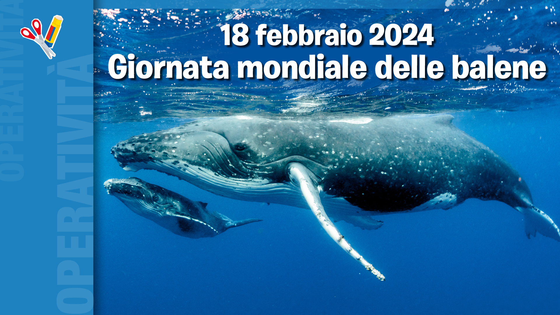 Giornata mondiale delle balene