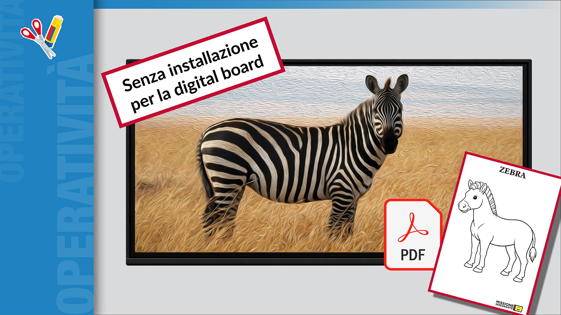 La Giornata Internazionale della zebra